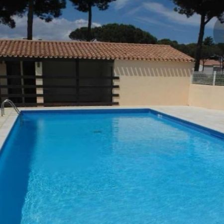 Apt T2/4 Pers/ Rez De Jardin\Pinede\Piscine Agde Exterior photo